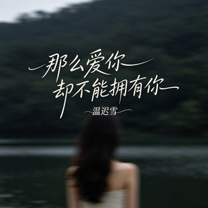 那么爱你却不能拥有你