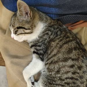 断剑少年与降世星灵