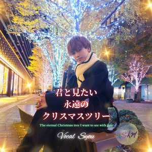 君と見たい永遠のクリスマスツリー