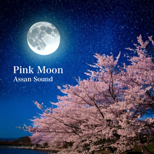 Pink Moon - 四月の満月 -