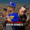 Yomel El Meloso - QUIERO AMANECE (feat. LOMIIEL)