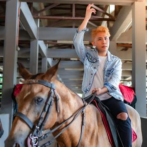 2026 新年歌 PUT YOUR HORSE COME 放马过来 (feat. 马来西亚爆炸哥)