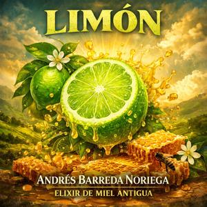 La construcción de la conciencia