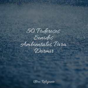 A Través De Las Noches, Más Allá De Los Días