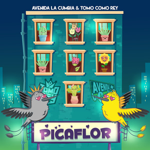 Picaflor