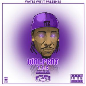 T.T.G. (Train to Go)