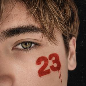 23