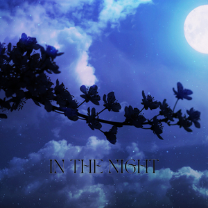 In the Night