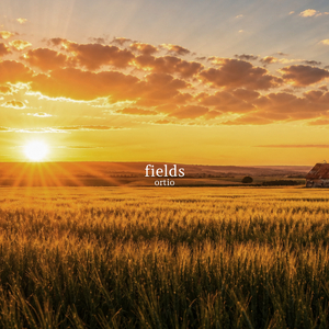 Fields