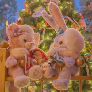 是什么让我遇见这样的你