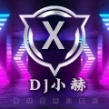 朋友的酒 (DJ小郝 remix)