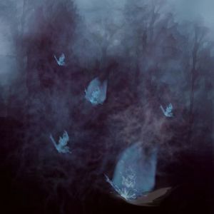 蝴蝶创伤效应(Prod.by 4Hunnid)