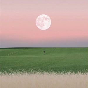 太聪明