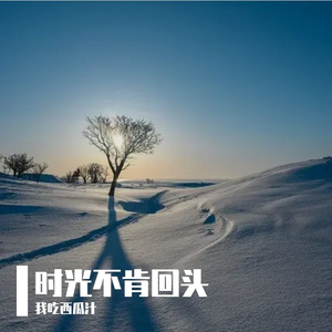 时光不肯回头