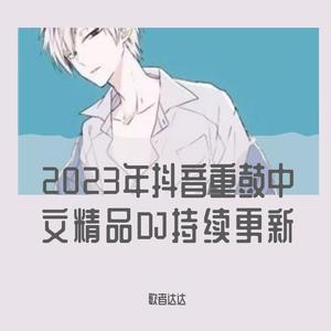 最美情侣（DJ车载版）