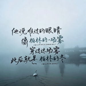 柏林的雾