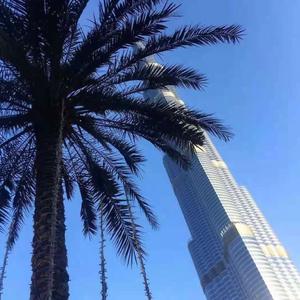 天若有情 (Dj抖音咚鼓版)