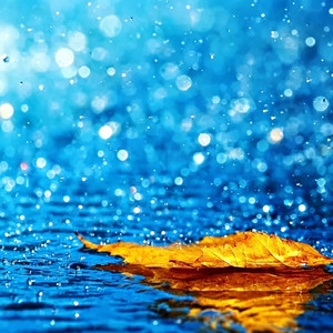 寒雨