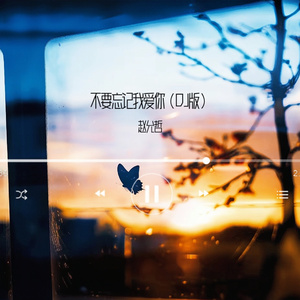 不要忘记我爱你 (0.9xDJ版)