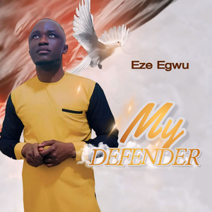 My Defender