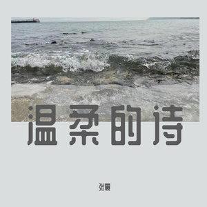 温柔的诗 伴奏