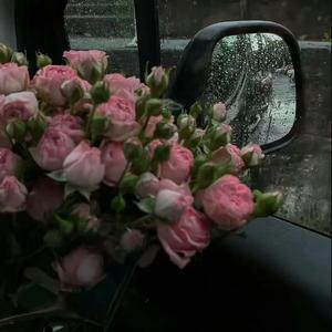 打火机（女生版）