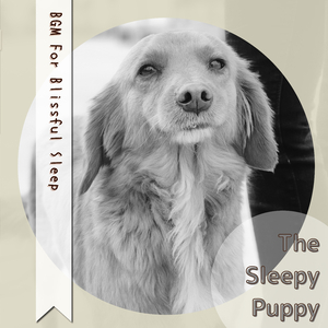 A Dream for the Night