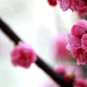 再唱学习雷锋好榜样