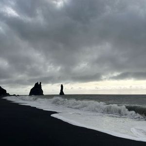 记忆荒岛