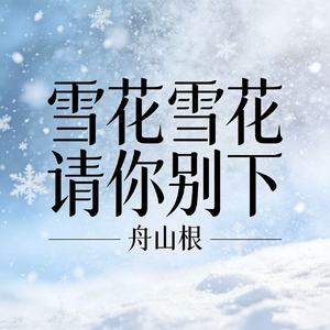 雪花雪花请你别下