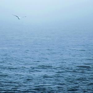 冬天里的一把火 (门店钢琴曲背景氛围纯音乐)