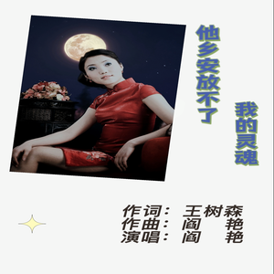 《他乡安放不了我的灵魂》王树森词 阎艳曲、唱