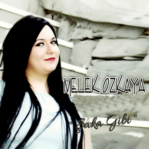 Yakmışım Gemileri