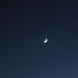 i will miss you (sped up)