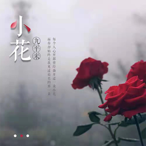小花 (民谣版)