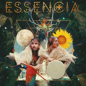 RAINBOW WARRIOR (feat. ZANA PRANA & Aimin Etwal)