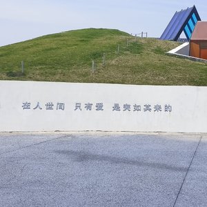 嘴硬的人不说爱