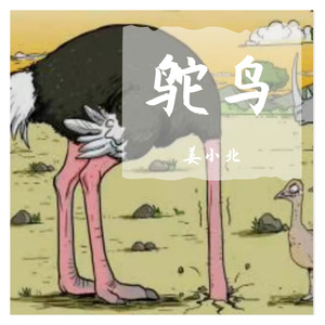 鸵鸟 伴奏