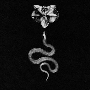 metamorfozės procesija