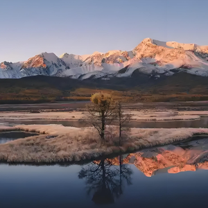 未说告别唯表爱意