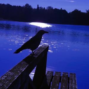 The Borderland Of Sleep