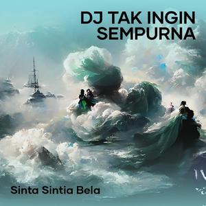 Dj Tak Ingin Sempurna
