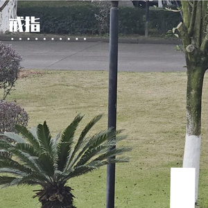 戒指承载的爱