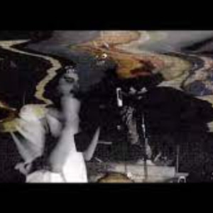 Çiçeklerde Bir Telaş Var