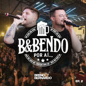 A Rosa e o Beija-Flor