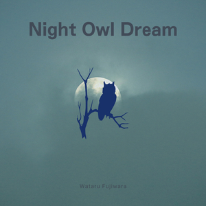 Night Owl Dream