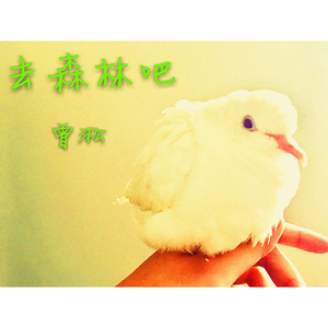 《去森林吧-吉他版》