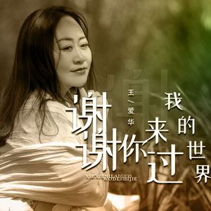 谢谢你来过我的世界（DJ月之歌版）