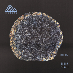 Terra (Naveci Remix)