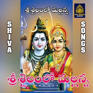 Srisaila kshetrana koluvunna swami